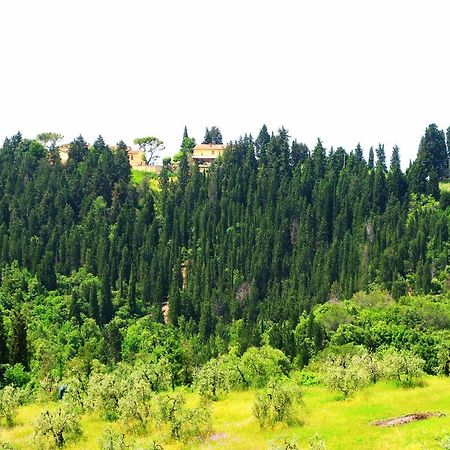 Agriturismo Martignana Alta Empoli Bagian luar foto