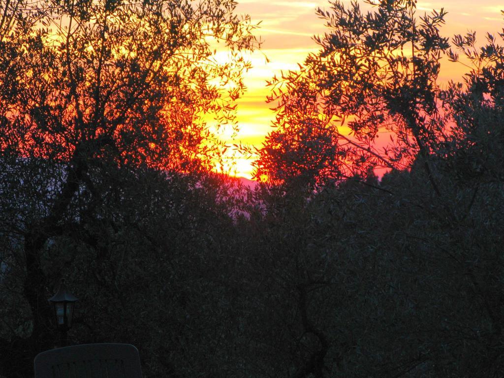 Agriturismo Martignana Alta Empoli Bagian luar foto